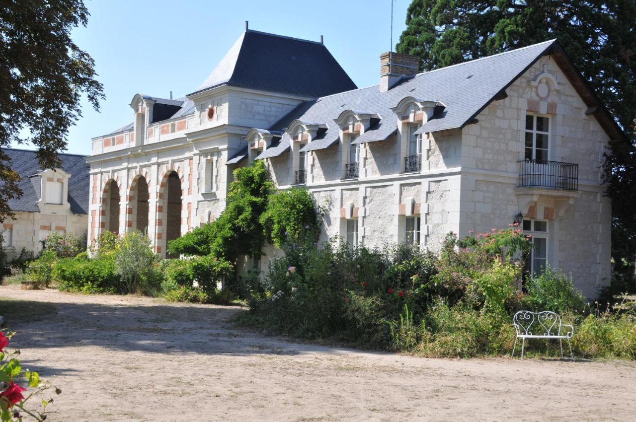 L'Orangerie Du Chateau - Le Nid - Gite 2 Personnes Brain-sur-Allonnes Exterior foto